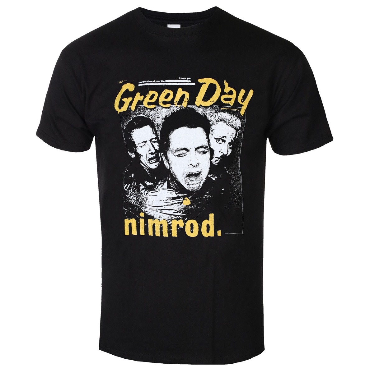 Band Tee Faded 90S - T-shirt unisexe Green Day imprimé délavé